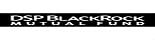 DSP Blackrock Investment